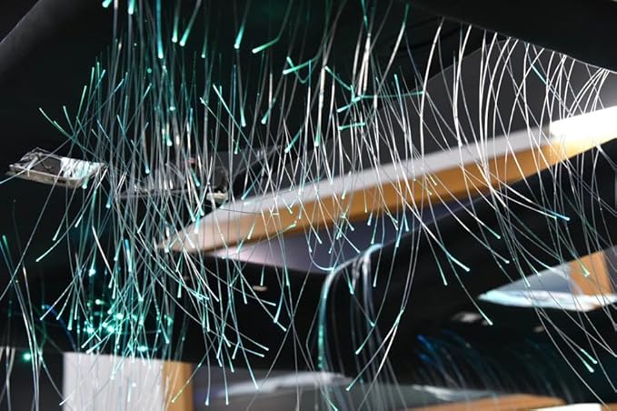 AKEPO End Glow Fiber Optic Light Cable 550pcs*13.1ft*Ф0.03in/0.75mm, PMMA Plastic Optical Cable for LED Star Ceiling Sky Light Kit and Fiber Optical Lighting Decoration (Without Light Source)