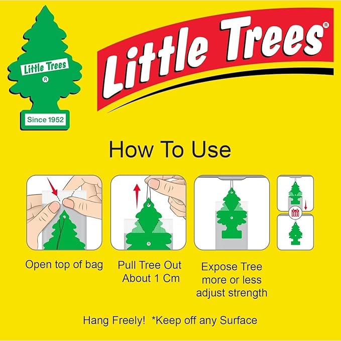 Little Trees Car Air Freshener 6-Pack (NO Smoking)