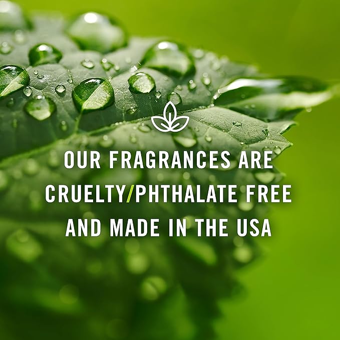P&J Trading Fragrance Oil | Rain Oil 30ml - Candle Scents for Candle Making, Freshie Scents, Soap Making Supplies, Diffuser Oil Scents