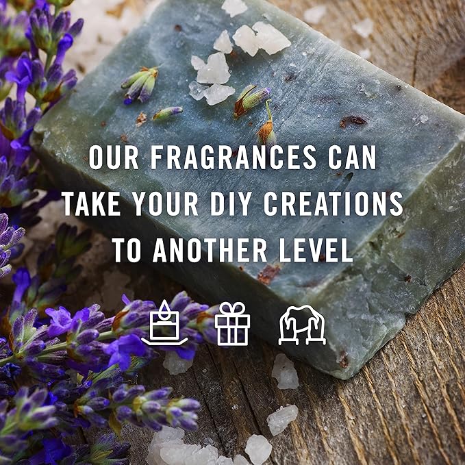 P&J Trading Fragrance Oils for Diffusers for Home Cookies & Cakes Set Fragrance Scents for Candle Making - Soap Making - Car Diffuser Scents - Essential Home Gift Set - Sugar Cookie & More